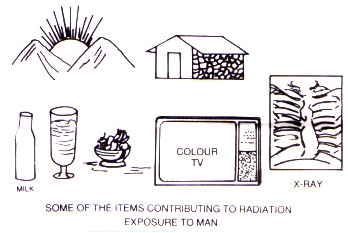 Items Contributing to Radiation Exposure to humans