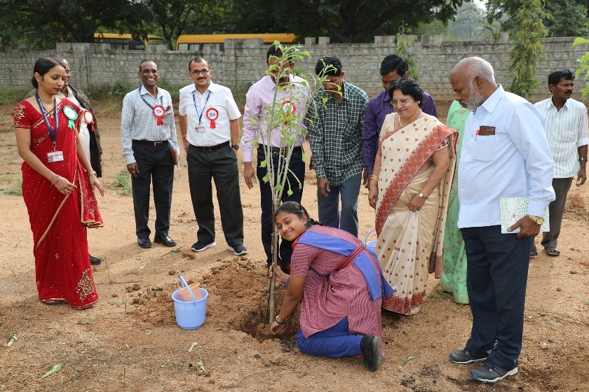 Plantation by participating children