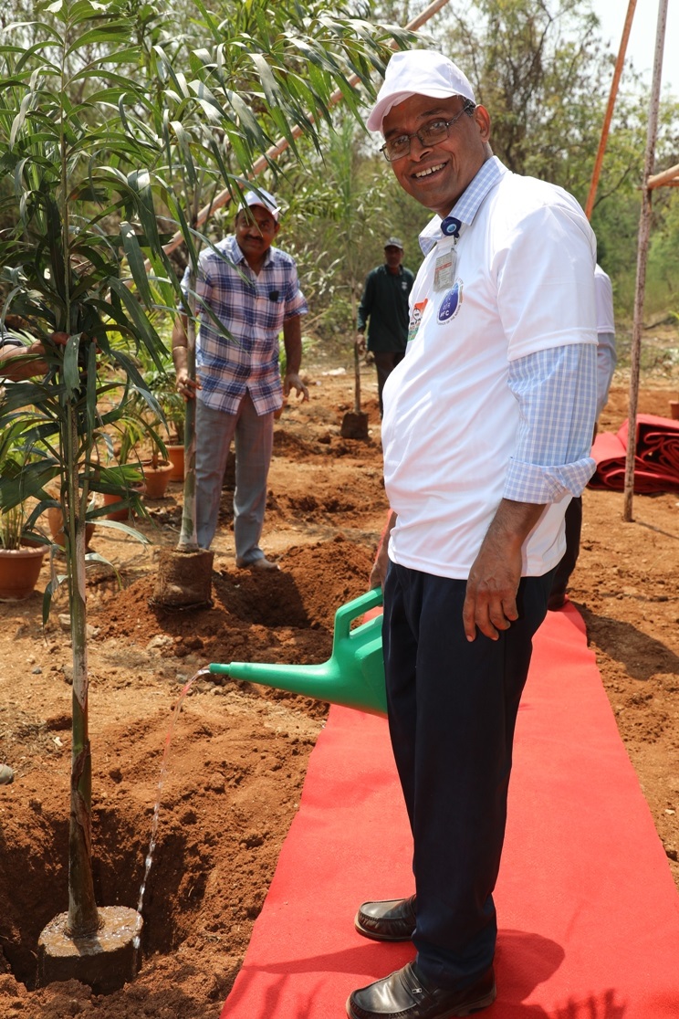 Tree plantation at ATMF Site.