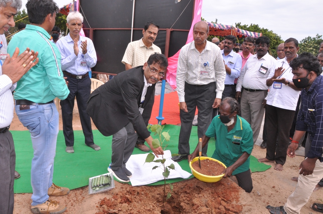 Tree Plantation.