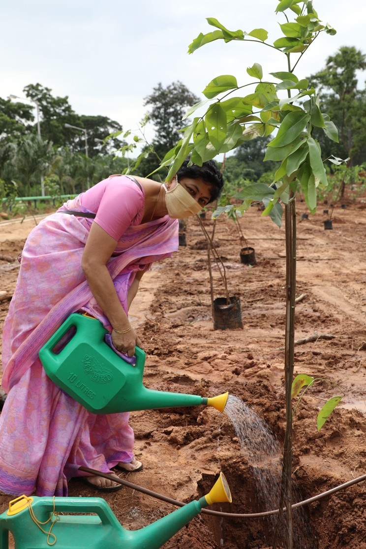 Plantation by Smt. Meena Ravindran, DCE.