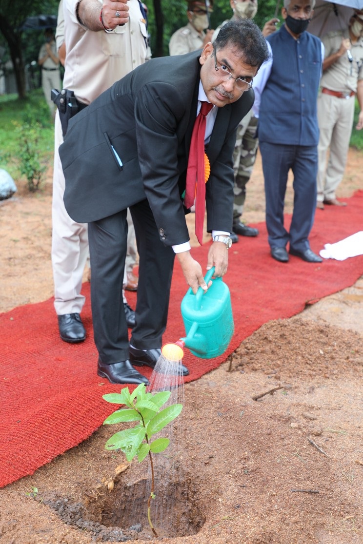 Plantation by Dr. Dinesh Srivastava, CE, NFC.