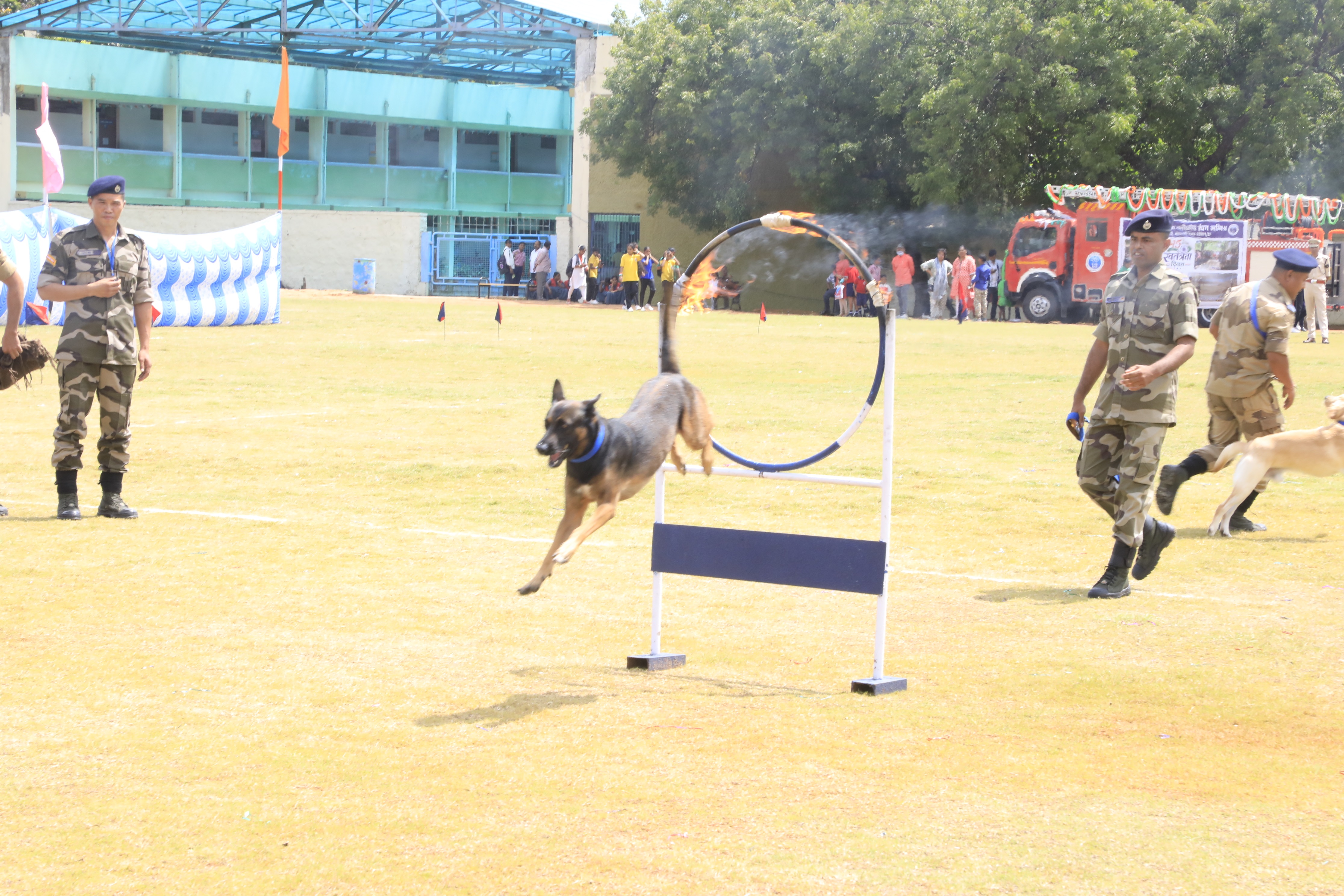 Dog Squad Demo by CISF.