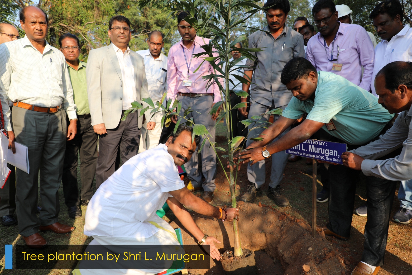 Tree plantation by Shri L. Murugan